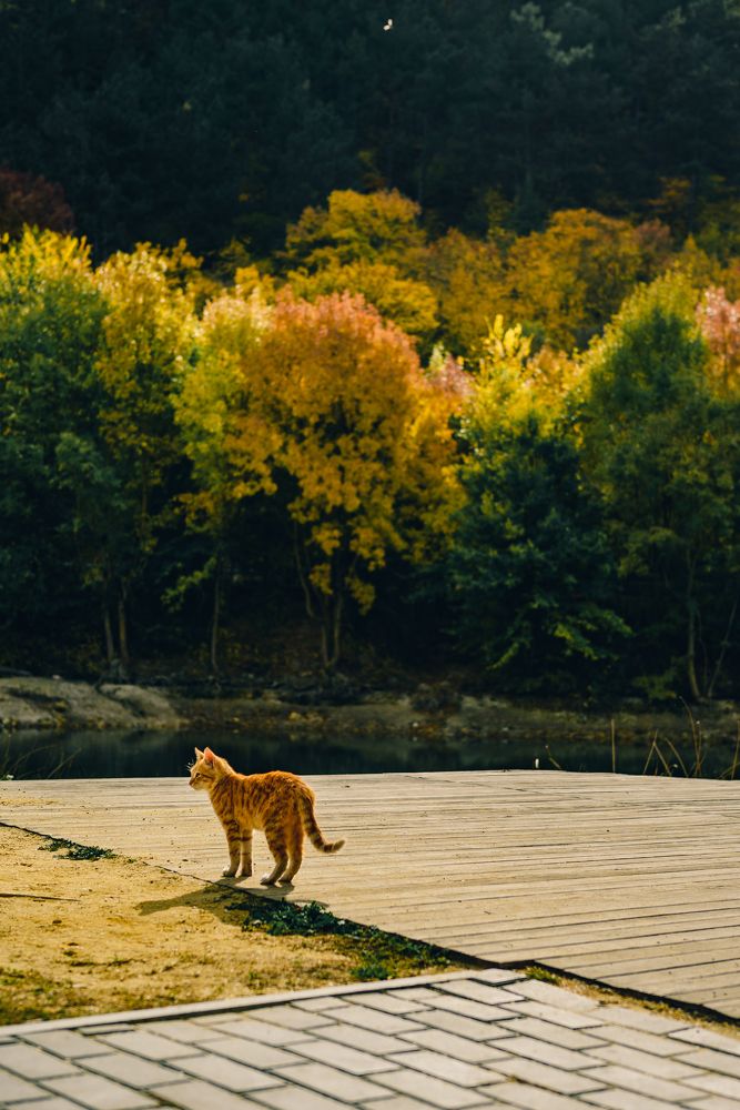 Photograph by Anna Parshenko