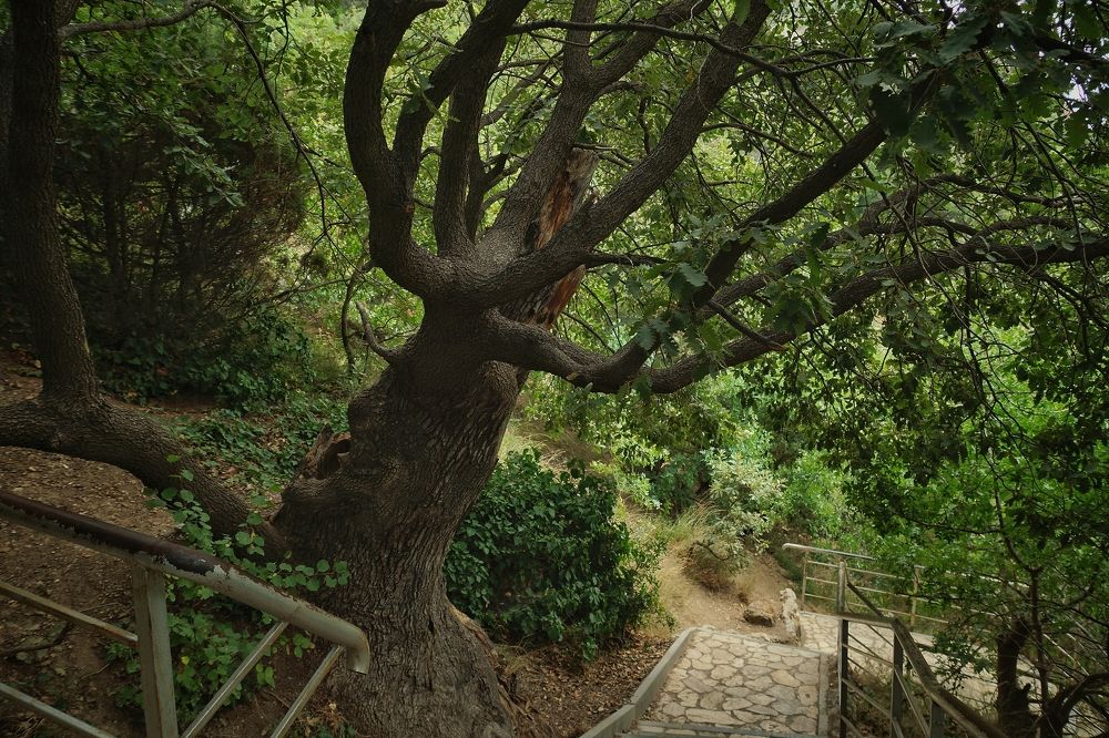 Photograph by lev ostanin