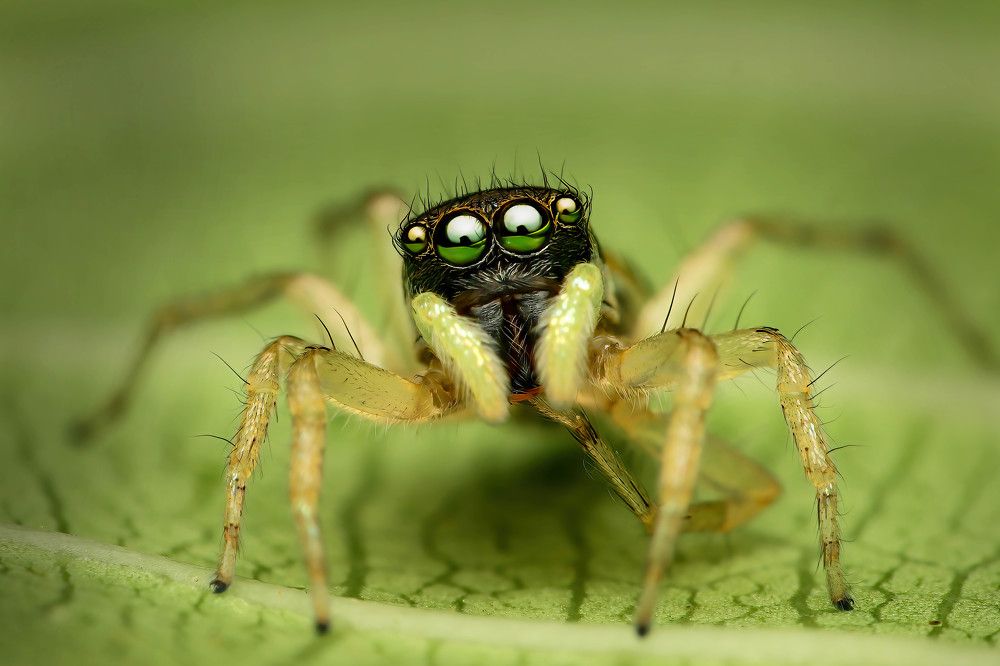 Photograph by Dhruv Shilpi