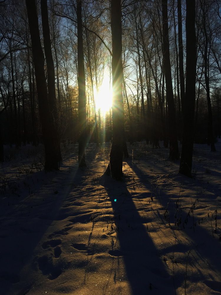 Светотень...солнышко...фото 1...