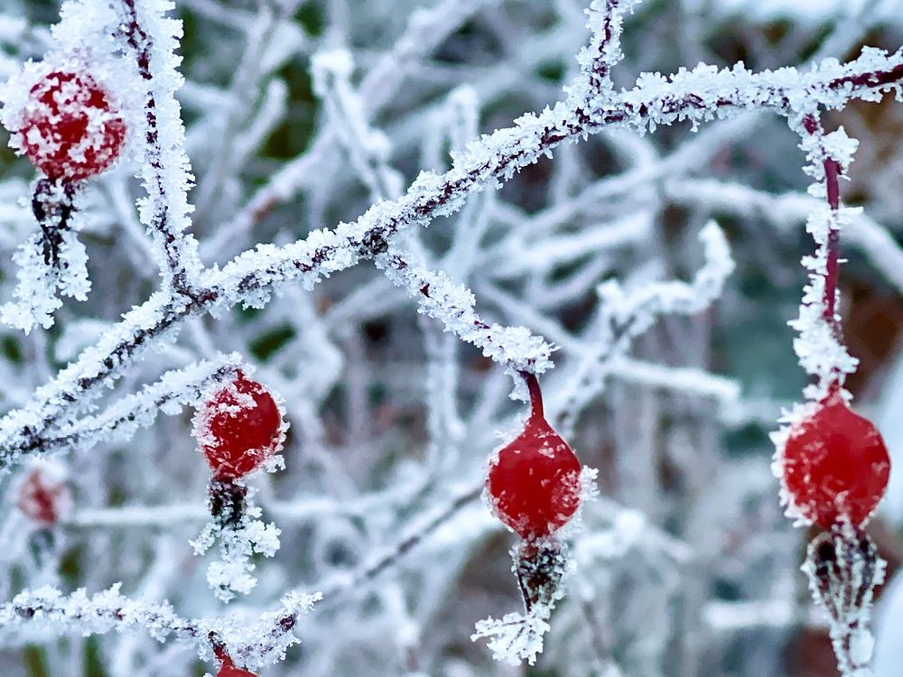 Photograph by Лыжин Григорий