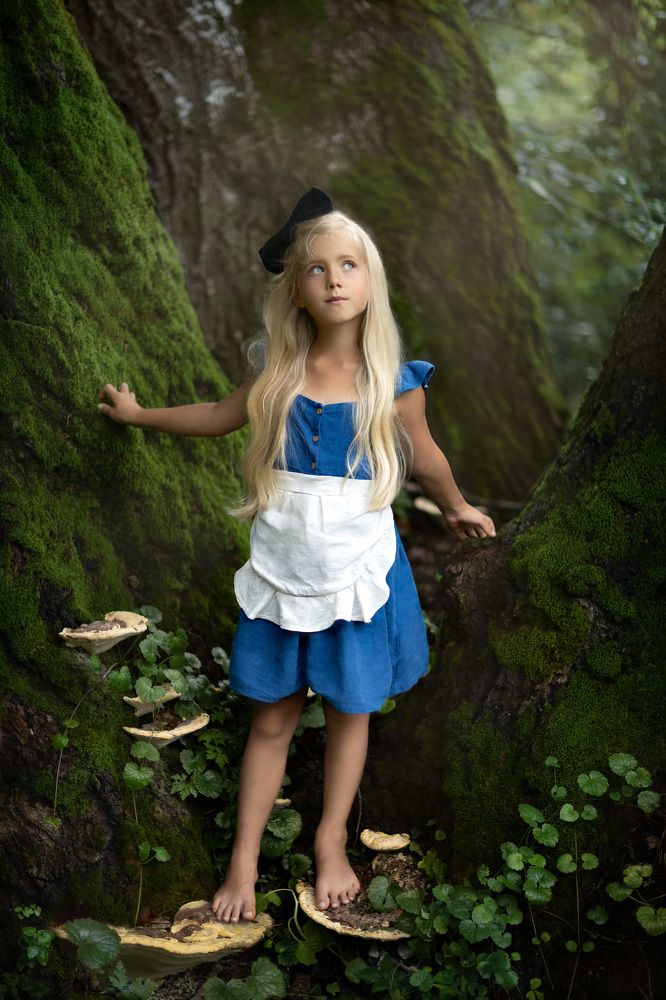 Фотография автора Светлана Черемных