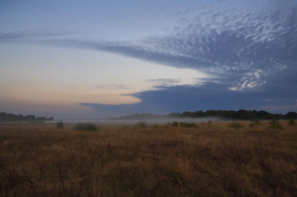 Photograph by Шелепнёва Лина