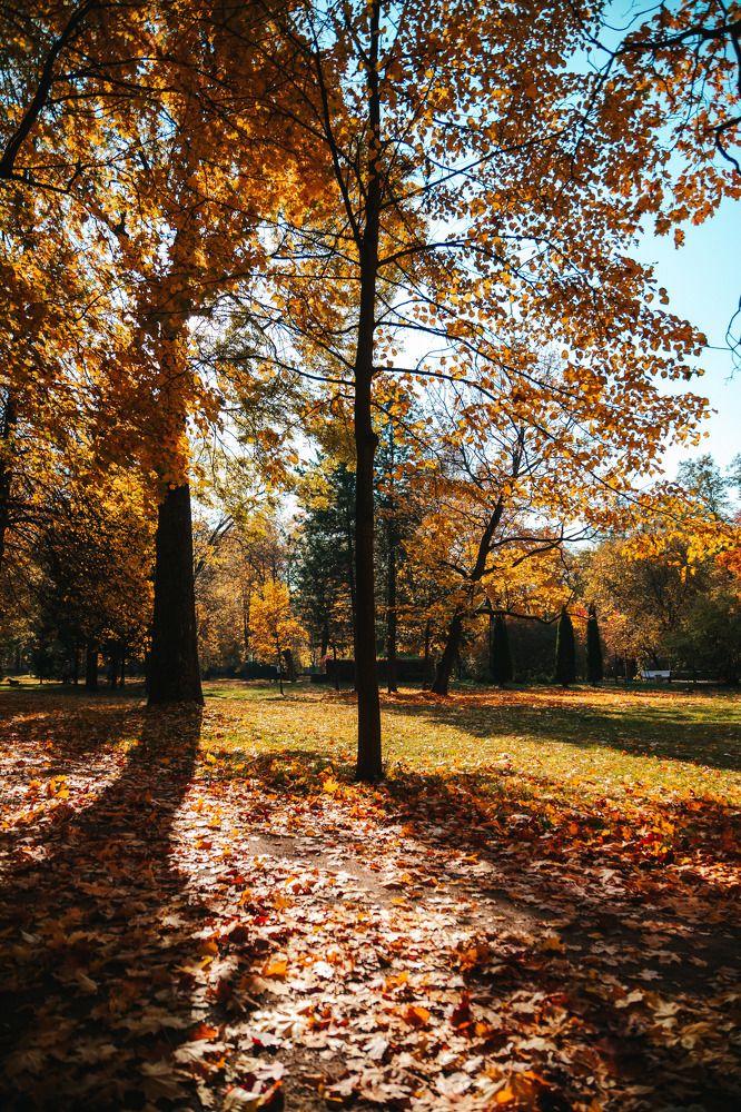 Photograph by Людмила Пахомова