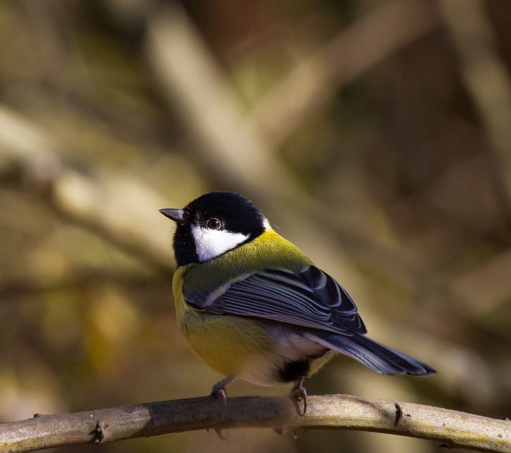 Photograph by Alexsandr Akulov