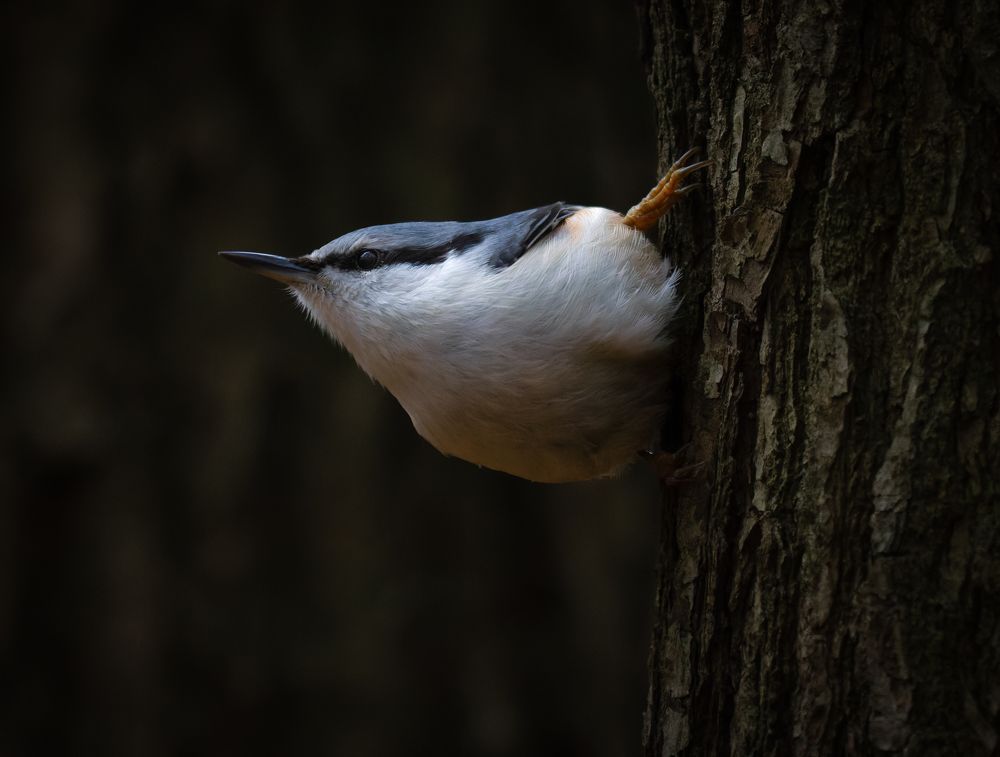 Photograph by Alexsandr Akulov