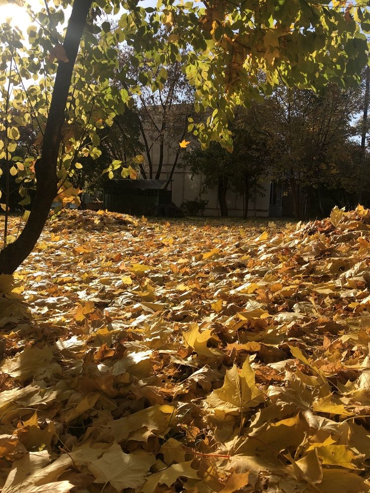 Photograph by Марина Георгиева