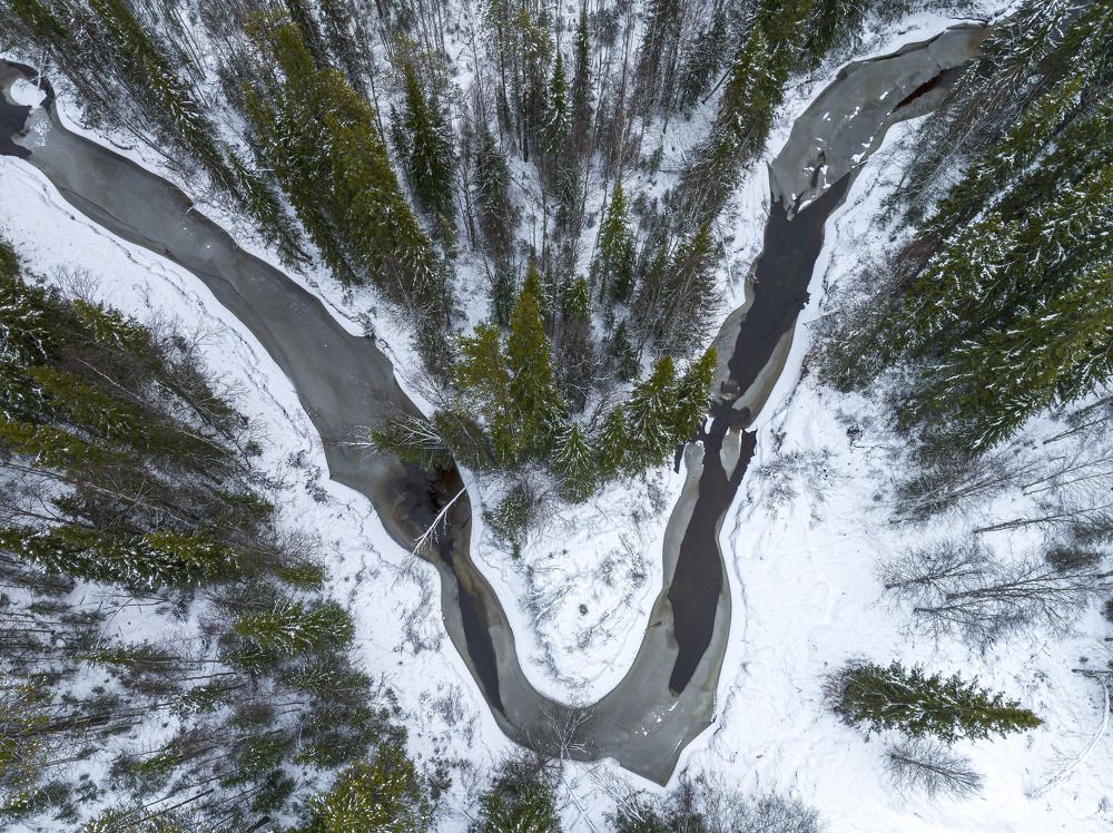 Photograph by Денис Гончаренко