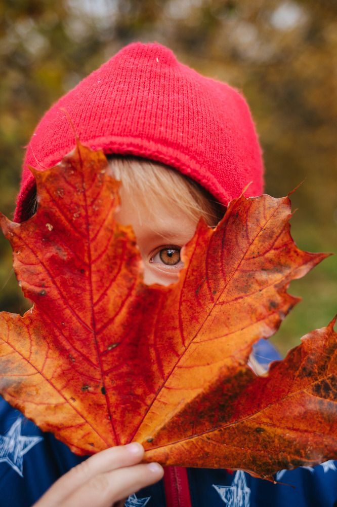 Photograph by Людмила Пахомова