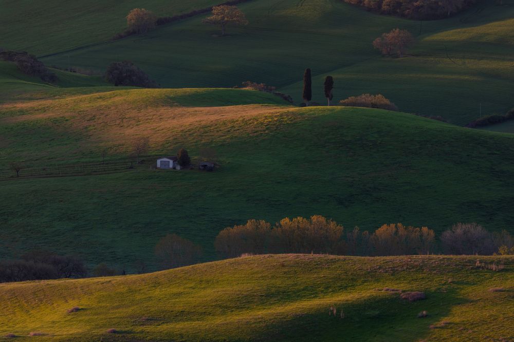 Photograph by Евгения Чех