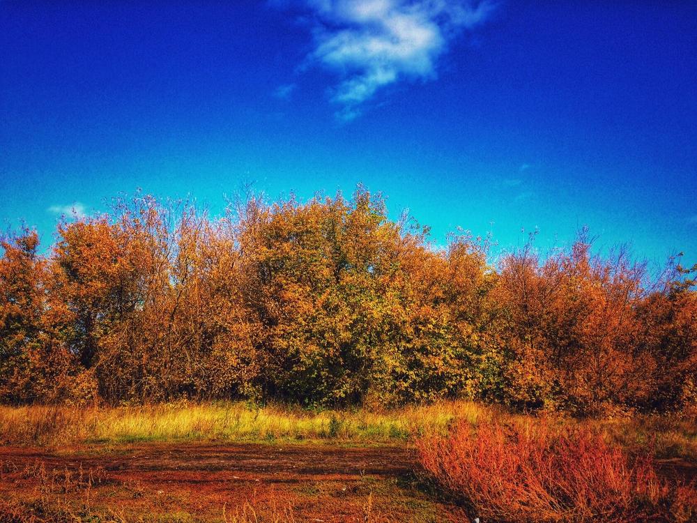 Photograph by Анастасия Игошина