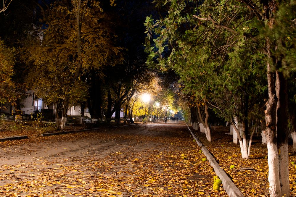 Photograph by Василий Шахмаев