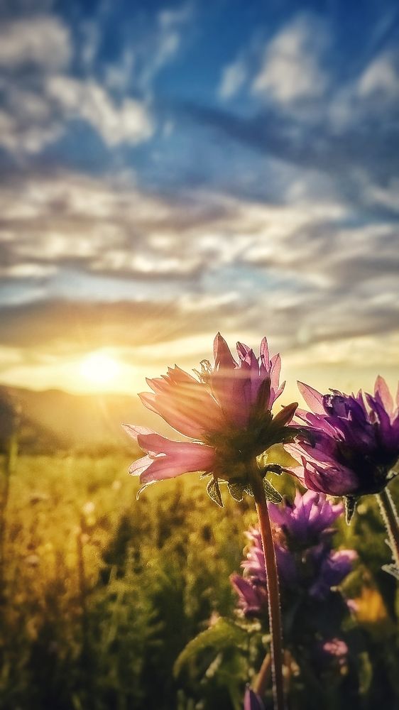 Photograph by иван мазняк