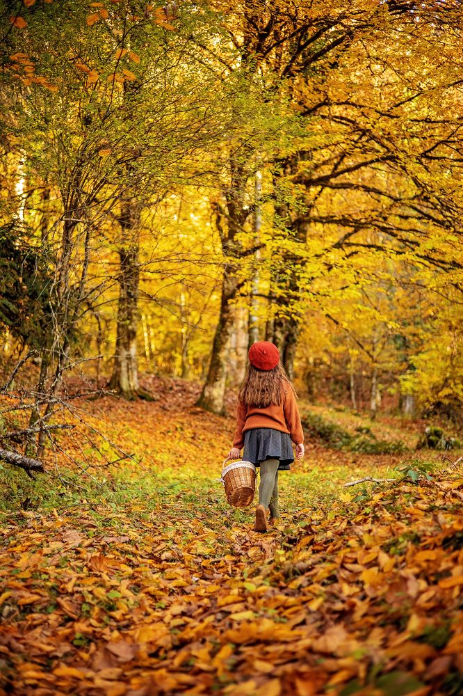 Photograph by Эля Цишба