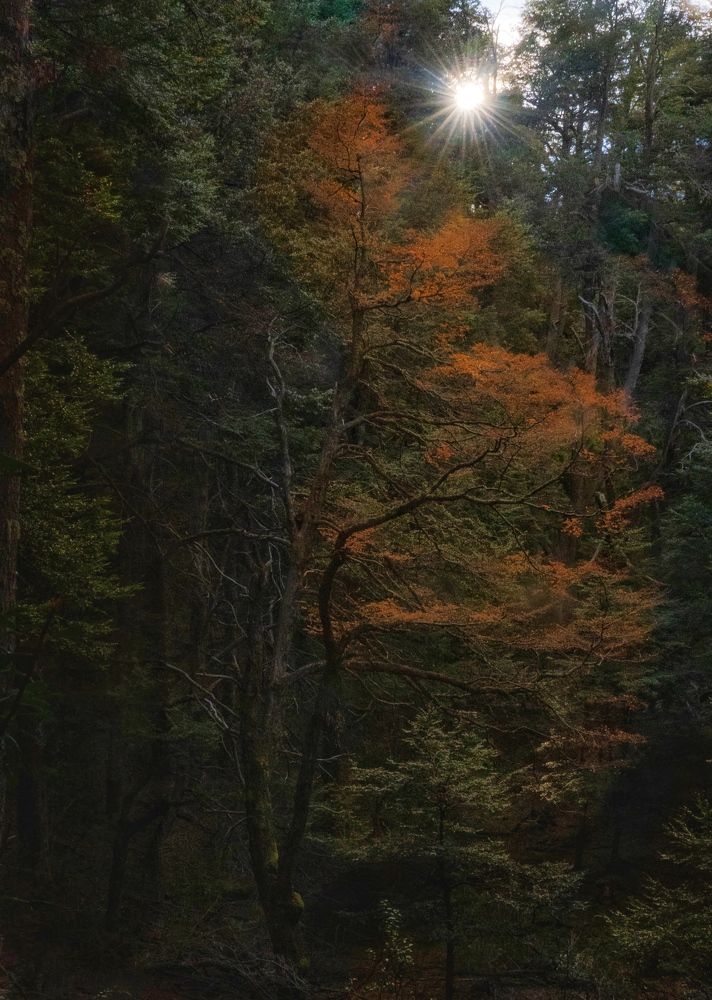 Photograph by MARCELO GIORGI