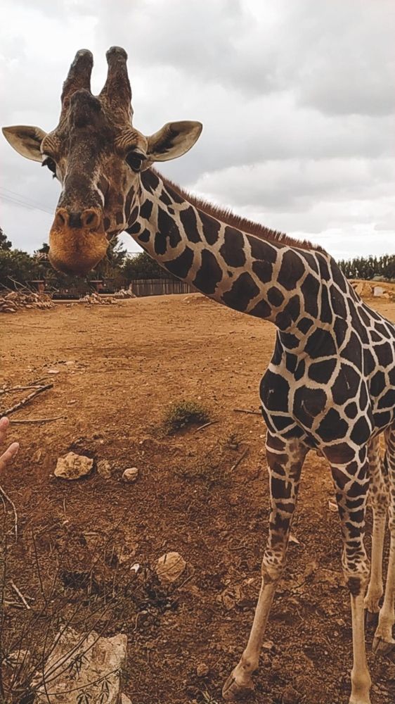 Photograph by Майя Чехова