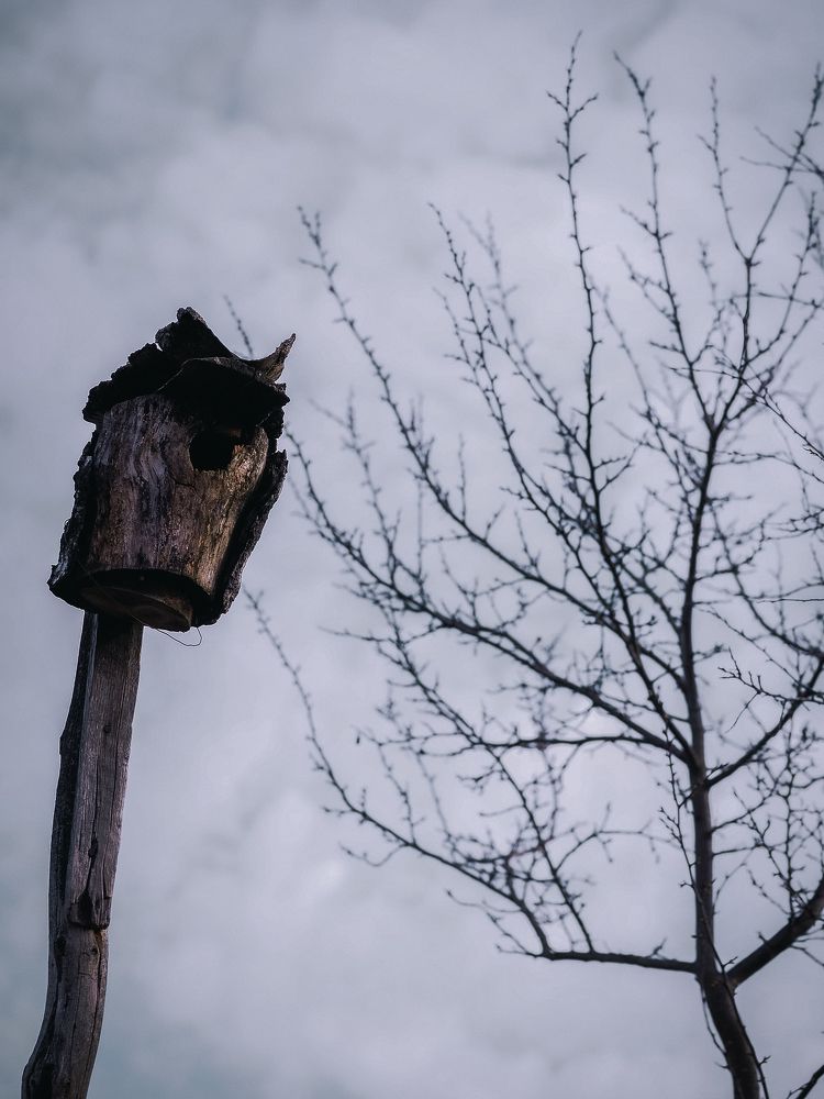 Photograph by Olga Zharkova