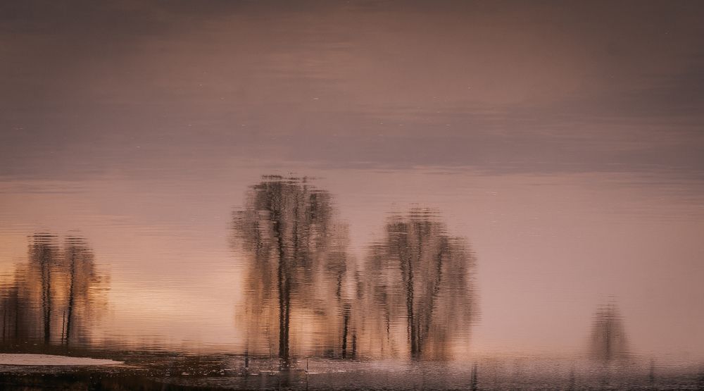 Photograph by Olga Zharkova