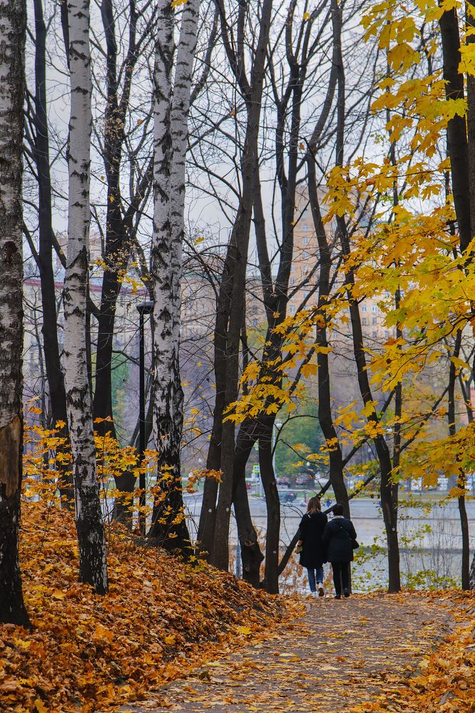 Photograph by Марина Короткова