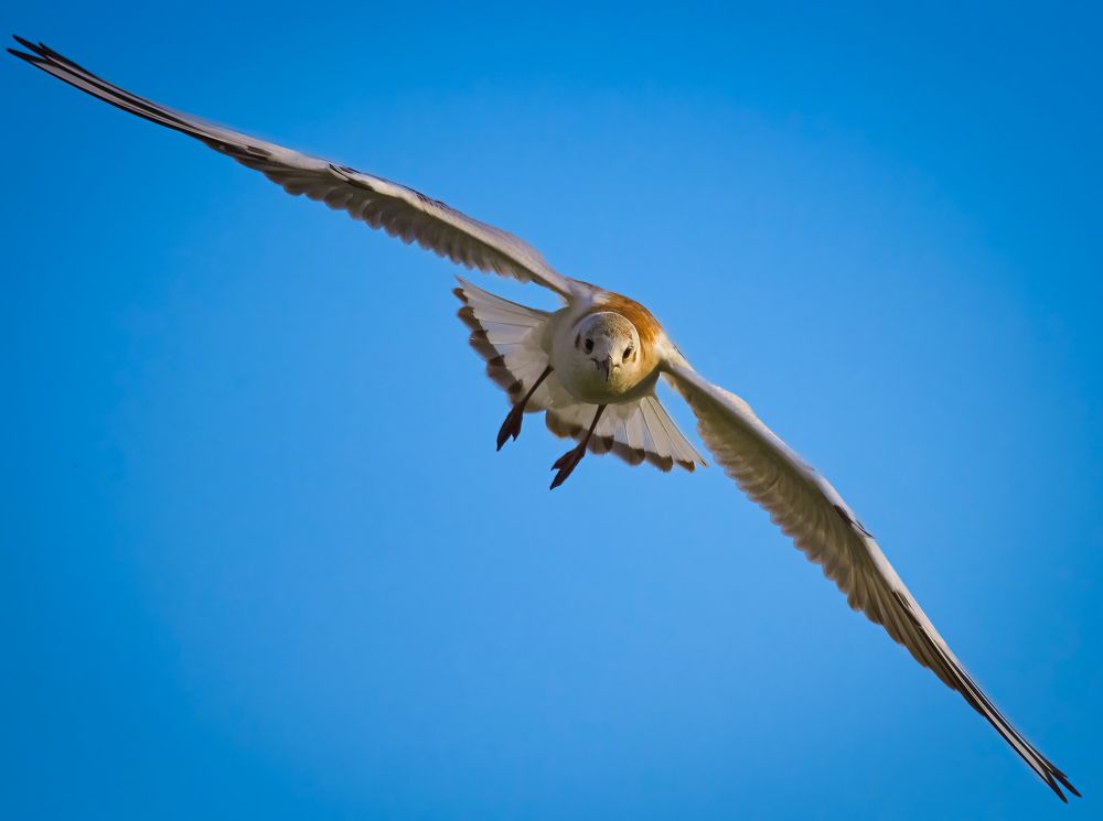 Photograph by Alexsandr Akulov