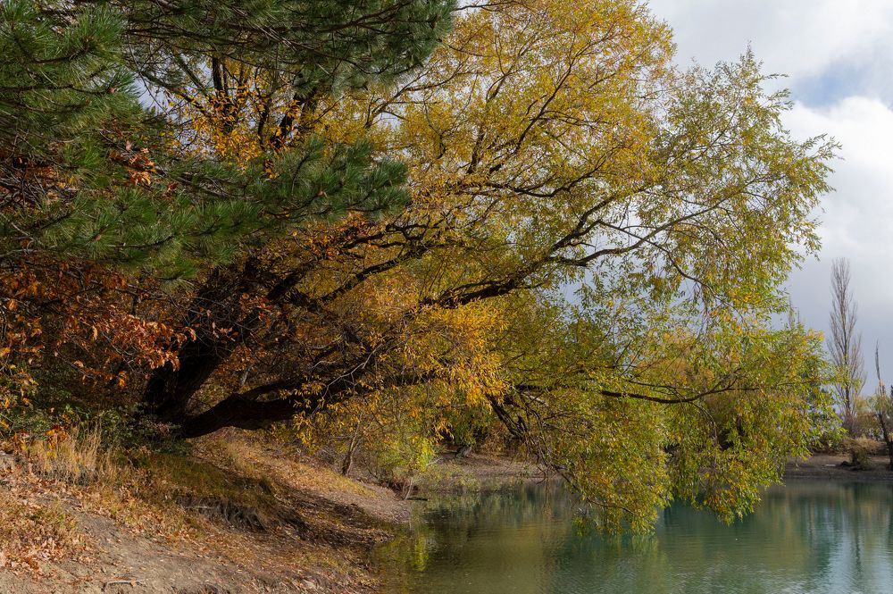 Photograph by Екатерина Крючкова