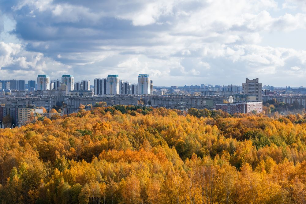 Photograph by Наталья