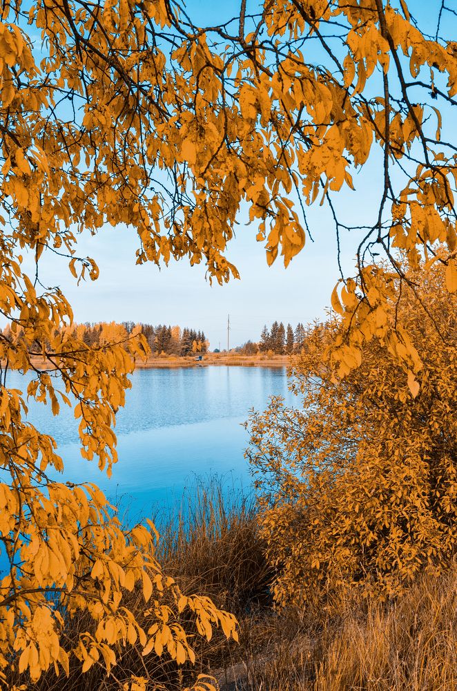 Photograph by Грязев Сергей