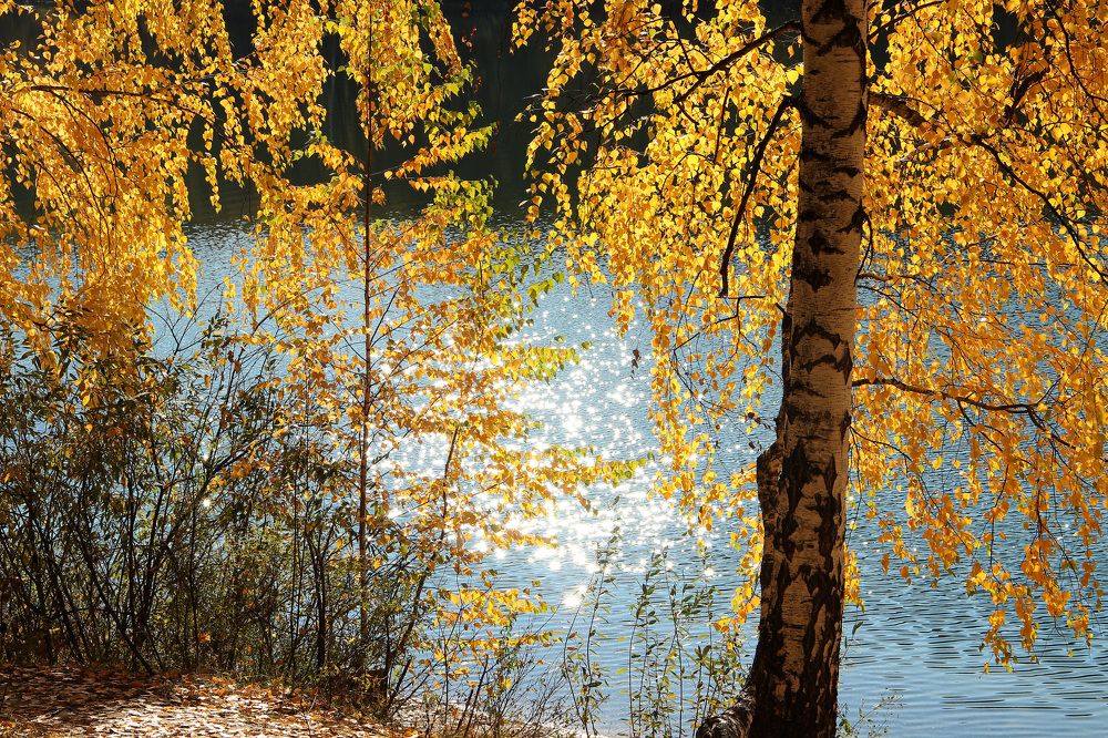 Золото и серебро.