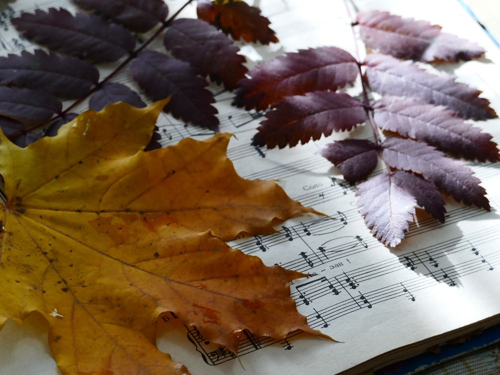 Photograph by Александр Кизим