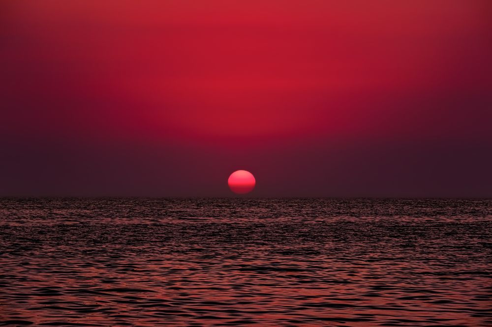 Photograph by Tatyana Baskakova
