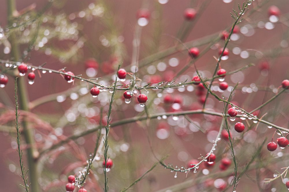 Photograph by Sergey Uskov