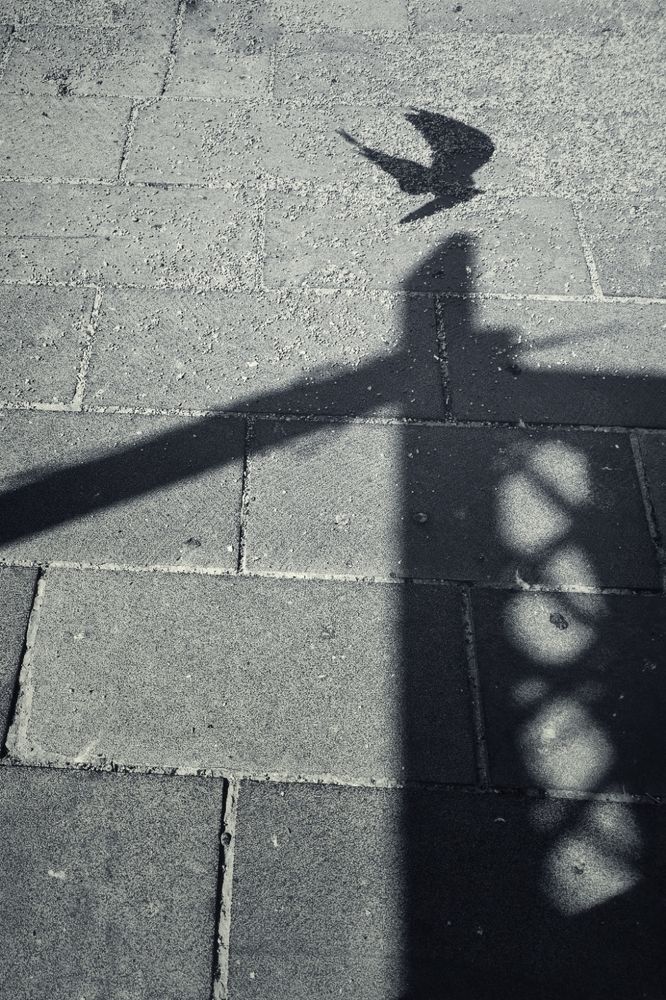 Photograph by Mohamad Al Dabbas