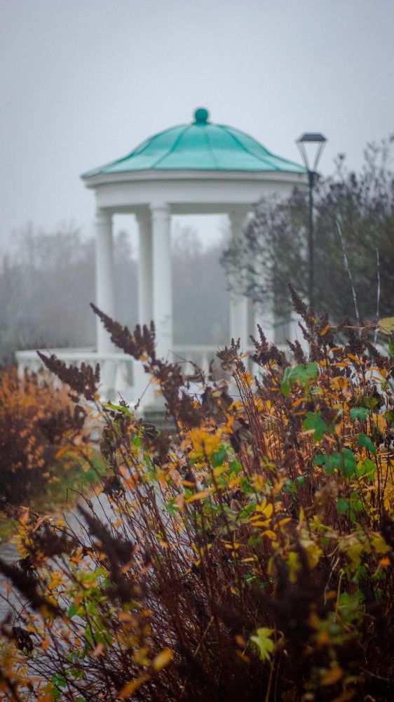 Photograph by Ирина Кошлюнова