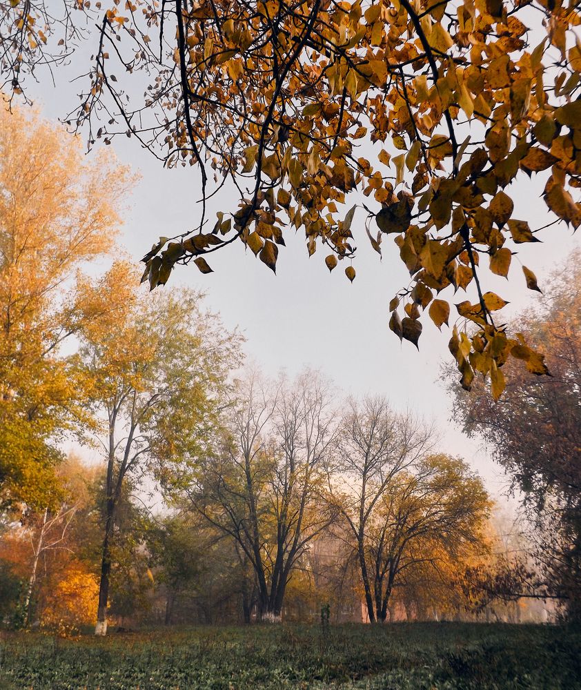 Photograph by Ольга Филатова