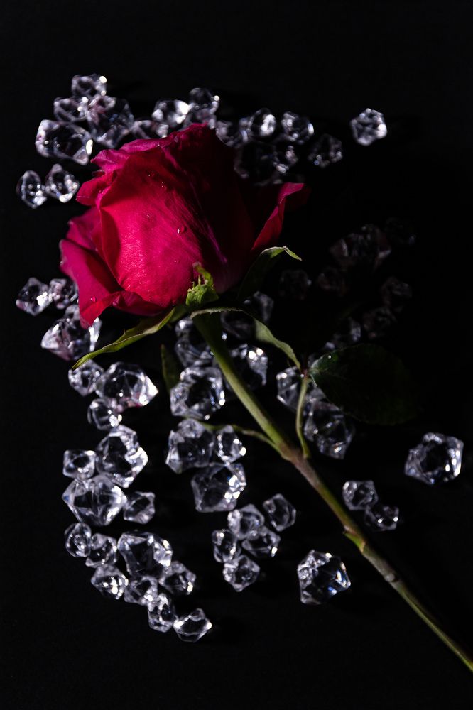 Photograph by Ольга Гирусова