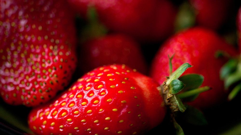 Photograph by Ирина Кошлюнова