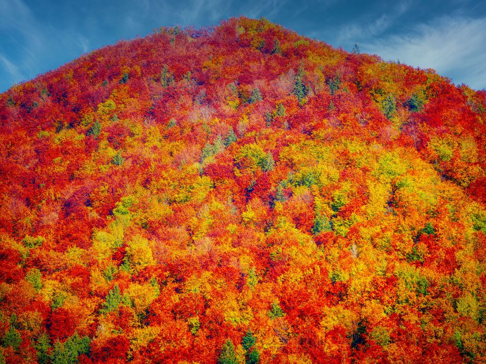 Photograph by Ondrej Pôbiš