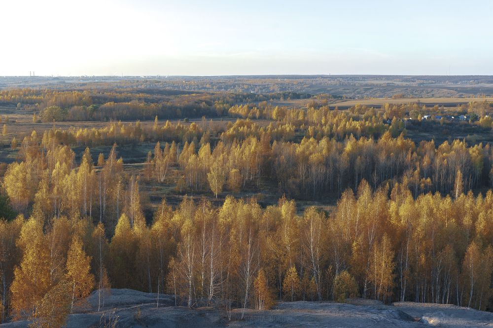 Photograph by Павел Боков