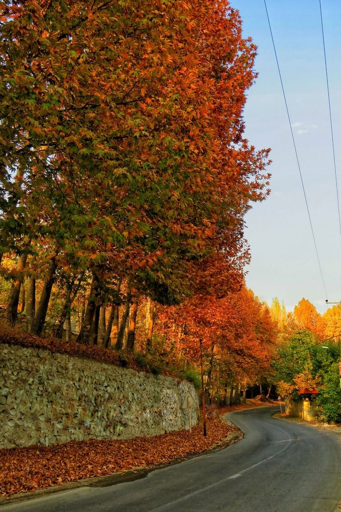 Фотография автора Mahdi Mohammadi