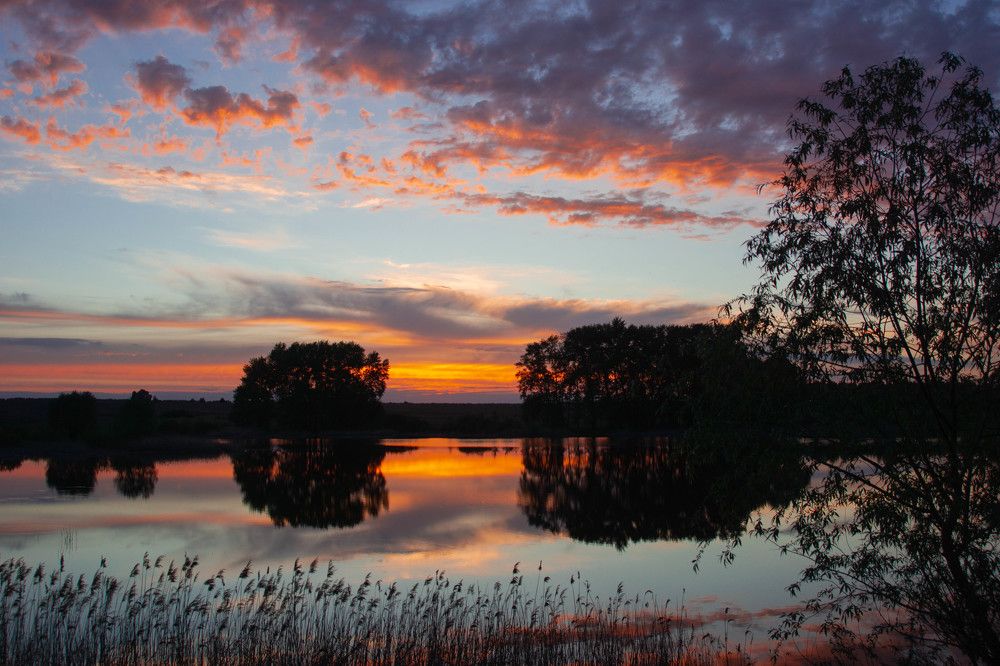 Photograph by Ирина Кошлюнова