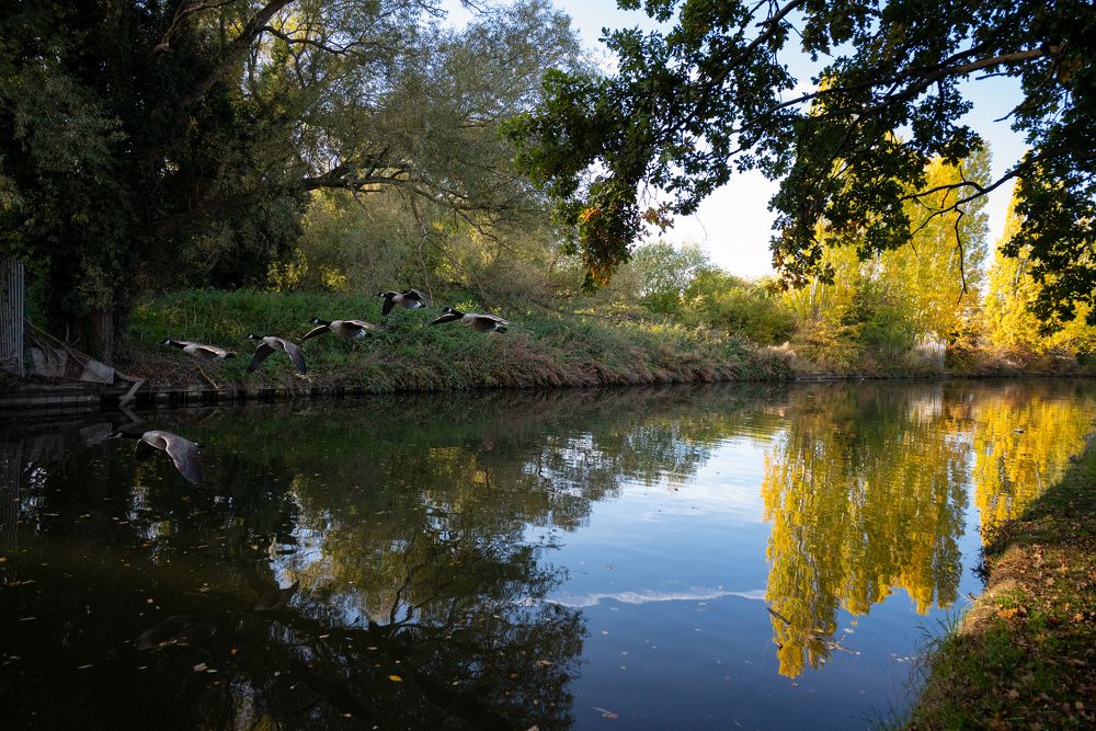 Photograph by Анастасия