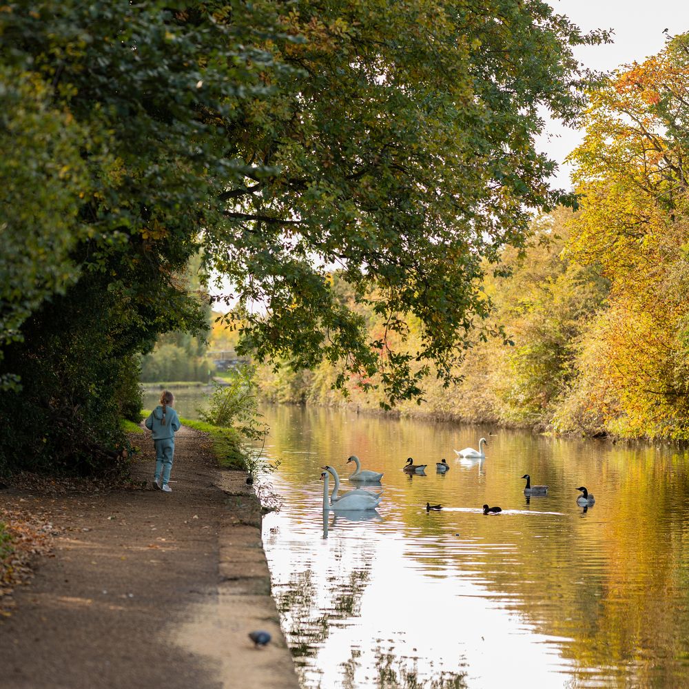 Photograph by Анастасия