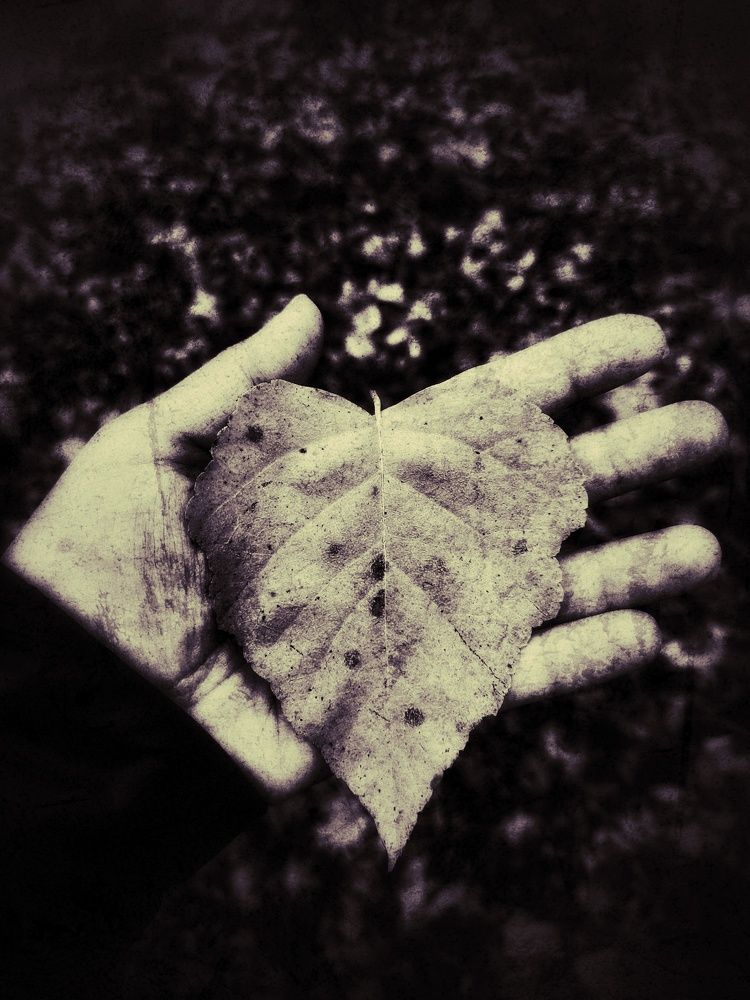 Photograph by Ирина Кошлюнова