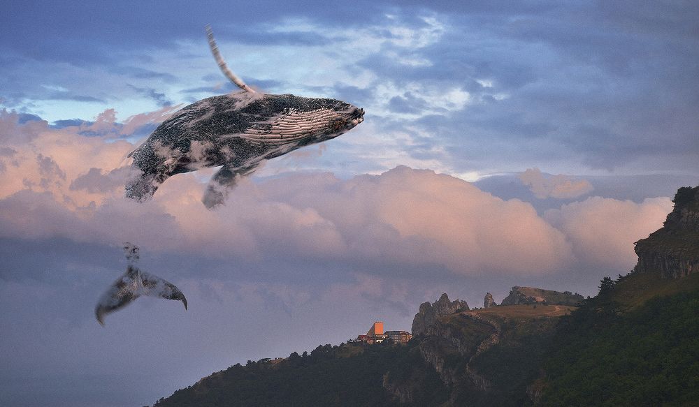 В поисках своей мечты