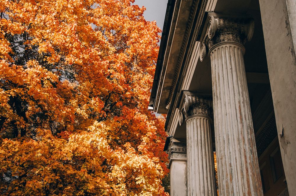 Photograph by Сафронова Любовь