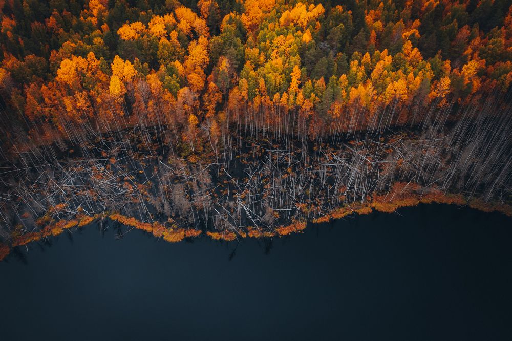 Photograph by Евгений Краснов