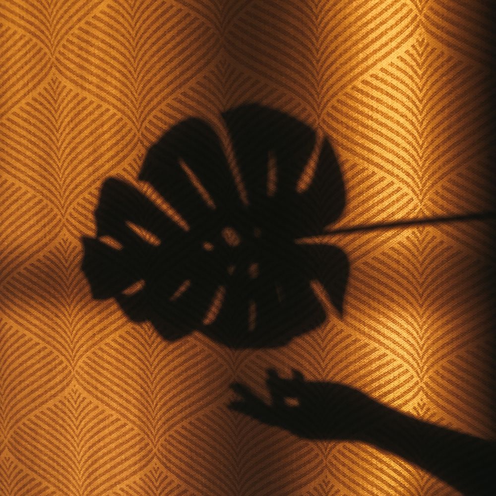 Photograph by Мария Королькова