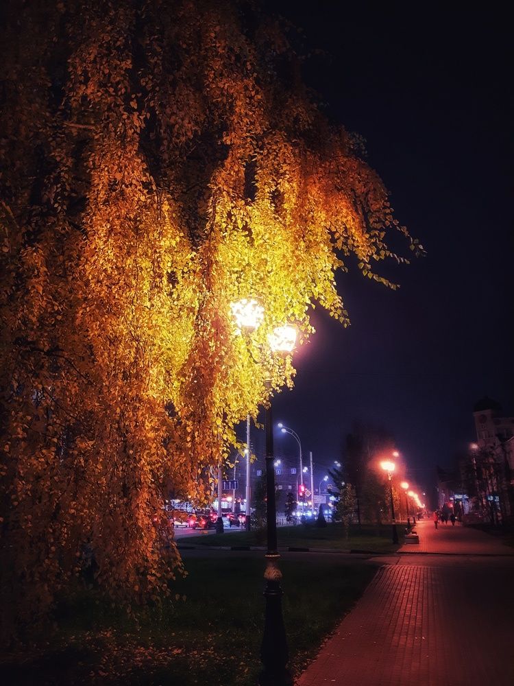 Photograph by Ирина Кошлюнова