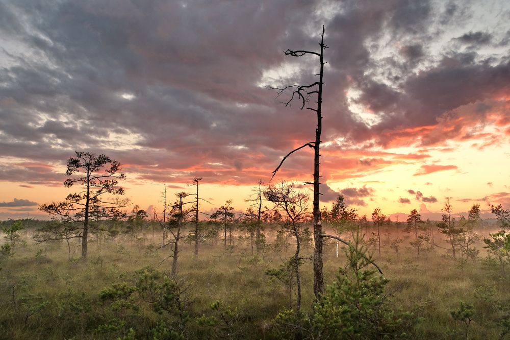 Photograph by Vitalijs Kopa