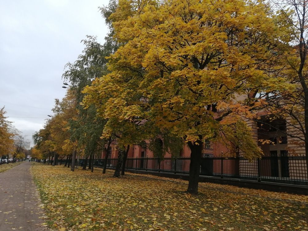 Photograph by Митя Стрельников